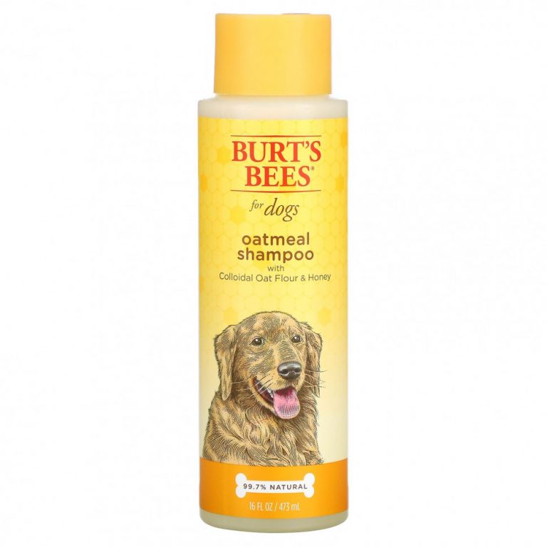 Burt’s Bees, Oatmeal Shampoo for Dogs, Colloidal Oat Flour & Honey, 16 fl oz (473 ml)